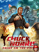 ChuckNorris 128x160.jar